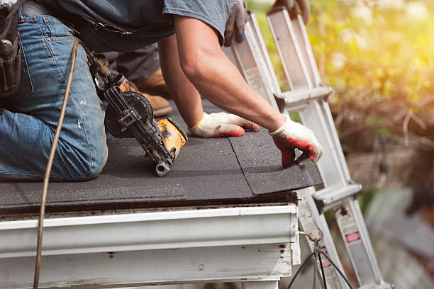 Best Roof Gutter Cleaning  in Anaconda, MT